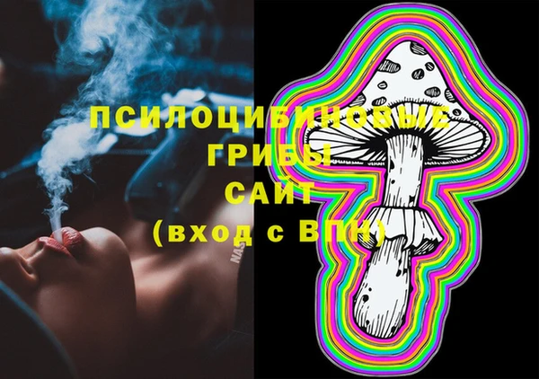 сатива Инсар