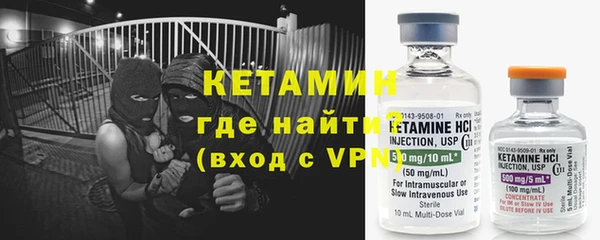сатива Инсар