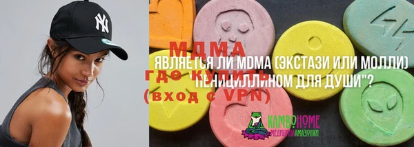 сатива Инсар