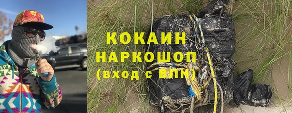 сатива Инсар