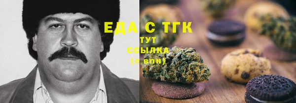 сатива Инсар