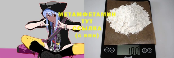 сатива Инсар