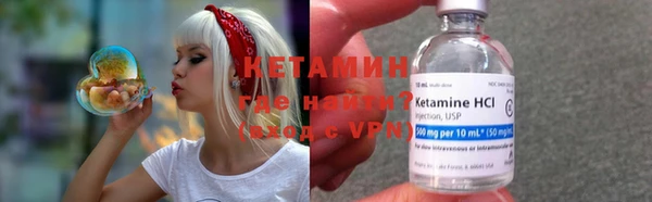 сатива Инсар