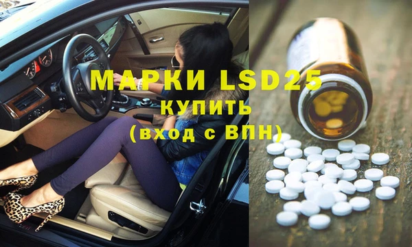 сатива Инсар