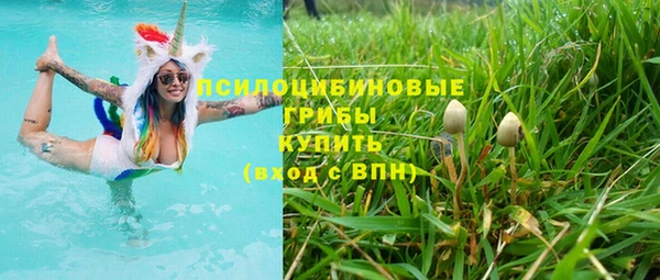 сатива Инсар
