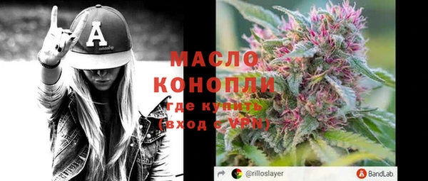 сатива Инсар