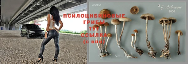 марки lsd Инта
