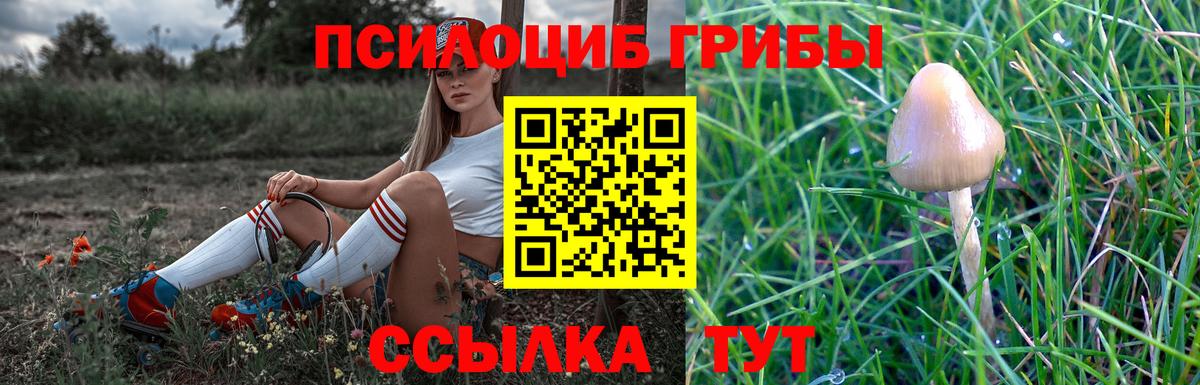 Истра  Галлюциногенные грибы мухоморы  Вход с VPN  Псилоцибиновые грибы прущие грибы 
