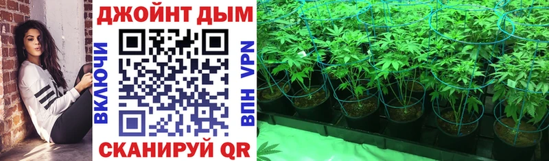 как найти   omg сайт  Бошки Шишки SATIVA & INDICA  Истра 